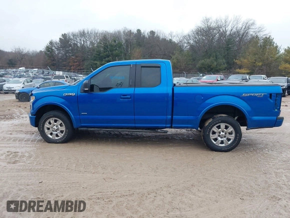 2016 Ford F-150 XLT with VIN 1FTEX1EP8GFC72915, listed as a IAAI auction lot 41199838 with 162,534 mi miles. Bid and sale history available at carsss.com. Image 14.