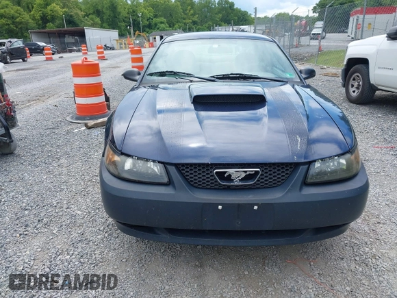 2003 Ford Mustang Standard with VIN 1FAFP40473F361166, listed as a IAAI auction lot 42616536 with 162,097 mi miles and . Bid and sale history available at DreamBid. Image 13.