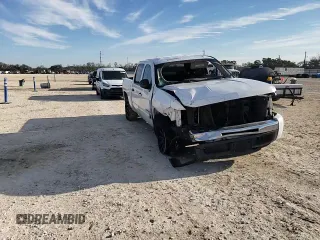 2009 Chevrolet Silverado 1500 LT with VIN 2GCEC23C191139697, listed as a Copart auction lot 88074455 with 243,119 mi miles and Salvage Title. Bid and sale history available at carsss.com. Image 10.