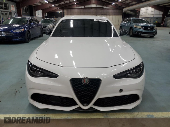 2019 Alfa Romeo Giulia Ti Sport with VIN ZARFANBN7K7600768, listed as a Copart auction lot 73277804 with 120,017 mi miles and Salvage Title. Bid and sale history available at carsss.com. Image 5.