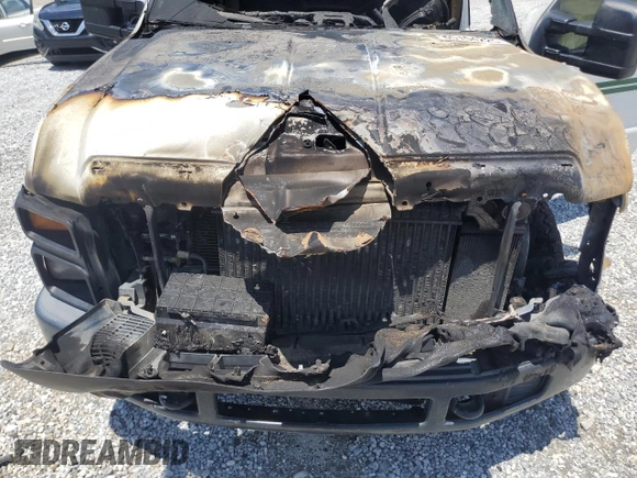 2010 Ford F-250 XL with VIN 1FTSF2BR7AEB00874, listed as a Copart auction lot 65154225 with Not provided miles and Non repairable. Bid and sale history available at DreamBid. Image 11.