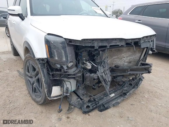 2024 Kia Telluride SX Prestige X-Pro with VIN 5XYP5DGCXRG490882, listed as a IAAI auction lot 41634304 with 30,476 mi miles. Bid and sale history available at carsss.com. Image 6.