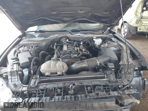 2022 Ford Mustang EcoBoost with VIN 1FA6P8TH9N5109501, listed as a IAAI auction lot 42437964 with 56,895 mi miles and . Bid and sale history available at DreamBid. Image 10.