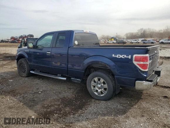2009 Ford F-150 XL with VIN 1FTPX14V69FB25939, listed as a Copart auction lot 50436685 with 256,699 mi miles and Clean Title. Bid and sale history available at carsss.com. Image 2.