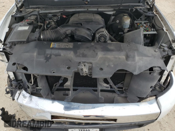 2009 Chevrolet Silverado 1500 LT with VIN 2GCEC23C191139697, listed as a Copart auction lot 88074455 with 243,119 mi miles and Salvage Title. Bid and sale history available at carsss.com. Image 12.