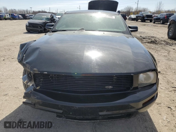 2008 Ford Mustang Deluxe with VIN 1ZVHT80N385191008, listed as a Copart auction lot 49577255 with 221,173 mi miles and Clean Title. Bid and sale history available at carsss.com. Image 5.