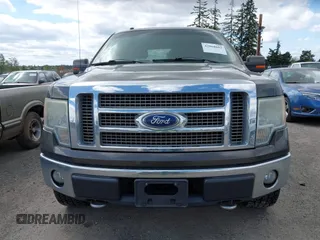 2009 Ford F-150 XL with VIN 1FTPW14V59FA09506, listed as a IAAI auction lot 42068602 with 222,954 mi miles. Bid and sale history available at carsss.com. Image 12.