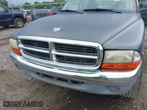 2003 Dodge Dakota with VIN 1D7FL46X43S190137, listed as a IAAI auction lot 42525471 with 130,773 mi miles and . Bid and sale history available at DreamBid. Image 13.