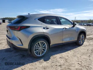 2025 Lexus NX with VIN JTJHGCEZ4S5010282, listed as a Copart auction lot 79807514 with 435 mi miles and Salvage Title. Bid and sale history available at carsss.com. Image 3.