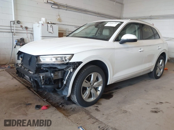 2019 Audi Q5 Premium z VIN WA1ANAFY3K2131756, wystawiony jako IAAI lot #42042739 z przebiegiem 76 332 mil mil oraz . Historia ofert i sprzedaży dostępna na DreamBid. Obrazek 17.