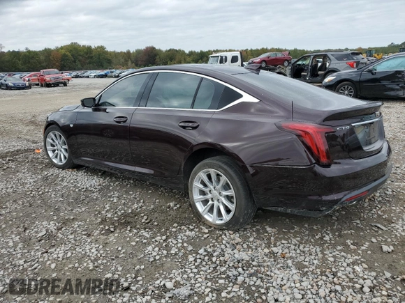 2021 Cadillac CT5 Luxury with VIN 1G6DW5RK0M0118012, listed as a Copart auction lot 78500434 with Not Provided miles and Salvage Title. Bid and sale history available at DreamBid. Image 2.