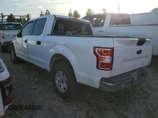 2019 Ford F-150 XL with VIN 1FTEW1CP2KKC14336, listed as a Copart auction lot 80236024 with 193,667 mi miles and Salvage Title. Bid and sale history available at carsss.com. Image 2.