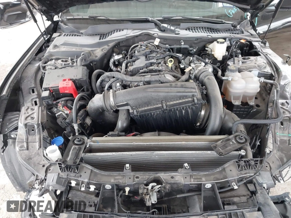 2024 Ford Mustang EcoBoost with VIN 1FA6P8TH2R5109961, listed as a IAAI auction lot 42265834 with 16,688 mi miles and . Bid and sale history available at DreamBid. Image 10.