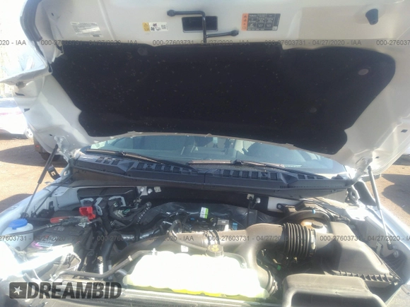 2019 Ford F-150 XL with VIN 1FTEW1EP7KFC62954, listed as a IAAI auction lot 27603731 with 14 mi miles and . Bid and sale history available at DreamBid. Image 10.