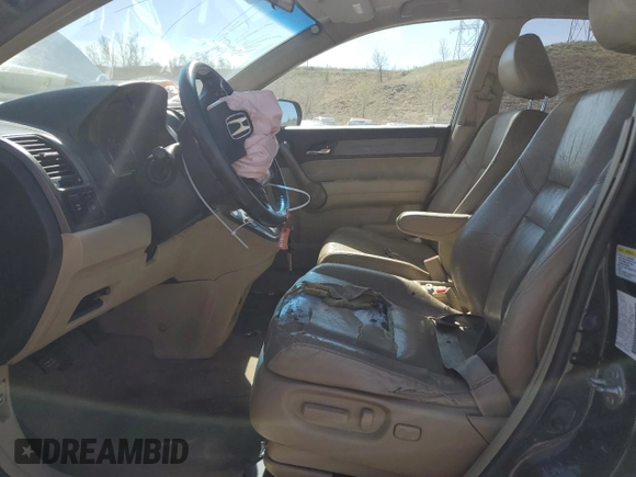 2009 Honda CR-V EX-L with VIN JHLRE38789C011323, listed as a Copart auction lot 54554445 with 228,363 mi miles and Salvage Title. Bid and sale history available at carsss.com. Image 7.
