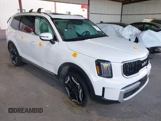 2024 Kia Telluride EX with VIN 5XYP34GC4RG502613, listed as a IAAI auction lot 41299160 with Not Provided miles and . Bid and sale history available at carsss.com. Image 1.