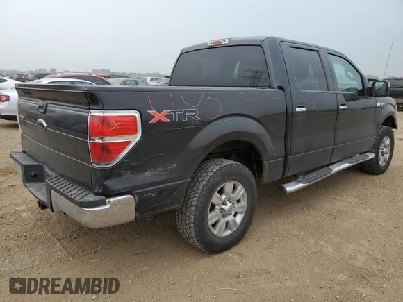 2010 Ford F-150 XL with VIN 1FTEW1E84AFD14774, listed as a Copart auction lot 60530435 with 150,299 mi miles and Salvage title. Bid and sale history available at DreamBid. Image 3.