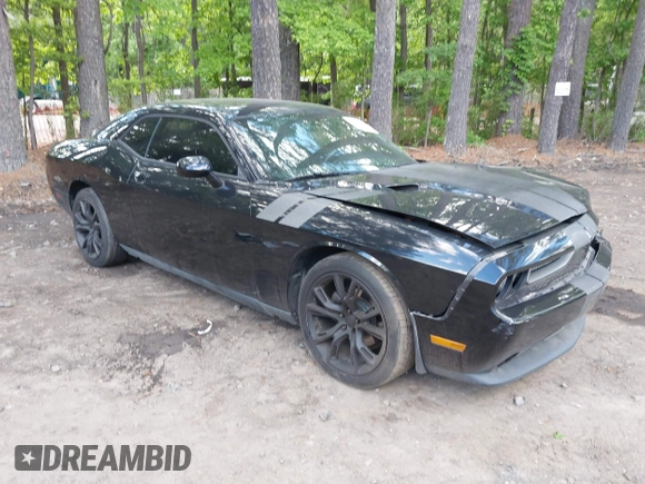 2013 Dodge Challenger SXT z VIN 2C3CDYAG2DH632743, wystawiony jako IAAI lot #42201981 z przebiegiem 154 018 mil mil oraz . Historia ofert i sprzedaży dostępna na DreamBid. Obrazek 1.