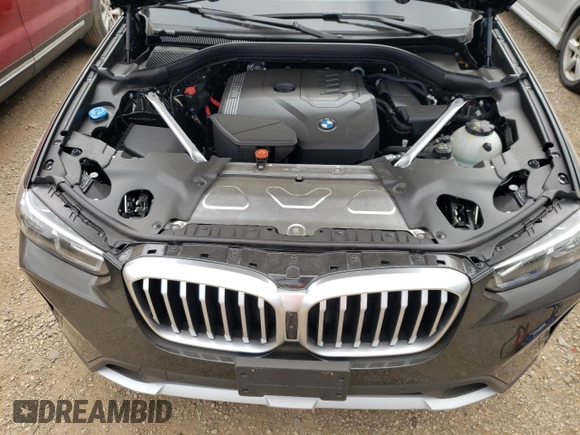 2023 BMW X3 xDrive30i with VIN 5UX53DP00P9S48442, listed as a Copart auction lot 70309554 with 0 mi miles and Salvage Title. Bid and sale history available at carsss.com. Image 11.