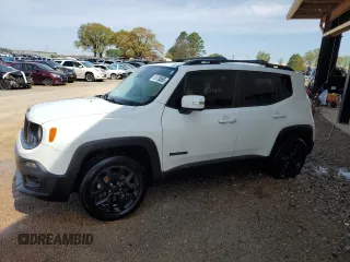 2017 Jeep Renegade Altitude with VIN ZACCJABBXHPF70298, listed as a Copart auction lot 50876855 with 114,017 mi miles and Salvage title. Bid and sale history available at DreamBid. Image 1.