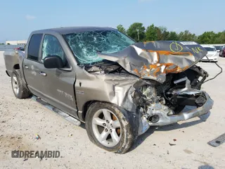 2006 Dodge 1500 SLT with VIN 1D7HA18266S616140, listed as a Copart auction lot 41667571 with Not Provided miles and Salvage Title. Bid and sale history available at carsss.com. Image 1.