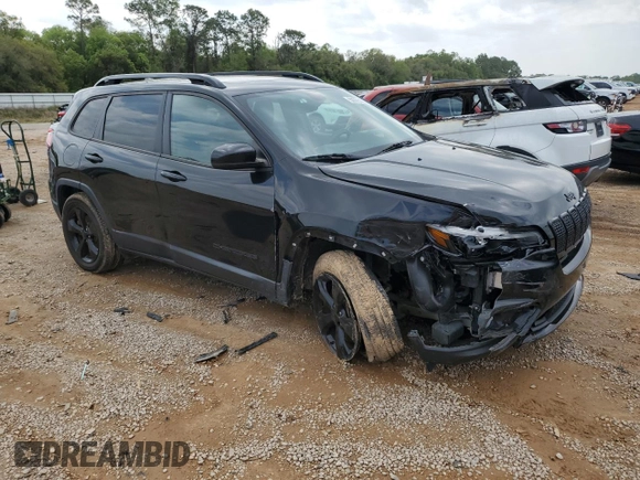 2019 Jeep Cherokee Altitude with VIN 1C4PJMLX9KD451502, listed as a Copart auction lot 50975105 with 117,125 mi miles and Salvage Title. Bid and sale history available at DreamBid. Image 4.