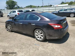 2010 Nissan Maxima 3.5 SV w/Sport Pkg with VIN 1N4AA5AP6AC865409, listed as a Copart auction lot 67453984 with 244,008 mi miles and Salvage Title. Bid and sale history available at carsss.com. Image 2.