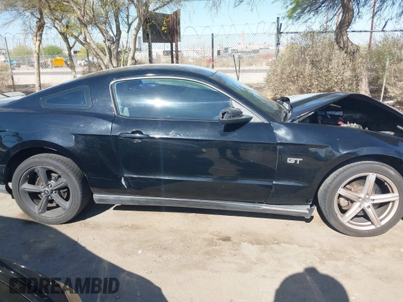2010 Ford Mustang GT with VIN 1ZVBP8CH4A5151929, listed as a IAAI auction lot 42004668 with 219,043 mi miles. Bid and sale history available at carsss.com. Image 13.