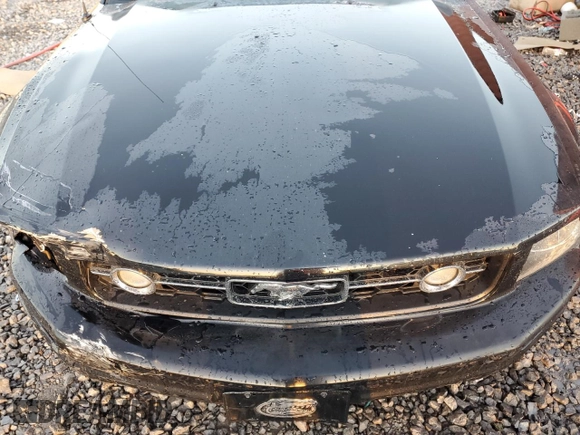 2008 Ford Mustang Deluxe with VIN 1ZVHT84N985180475, listed as a Copart auction lot 87002774 with 124,015 mi miles and Salvage Title. Bid and sale history available at carsss.com. Image 11.