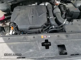 2022 Hyundai Santa Fe Calligraphy с VIN 5NMS5DALXNH445458, выставлен на аукционе Copart как лот 63196245 с пробегом 43 040 миль миль и Списание • Salvage title. История ставок и продаж доступна на DreamBid. Изображение 16.
