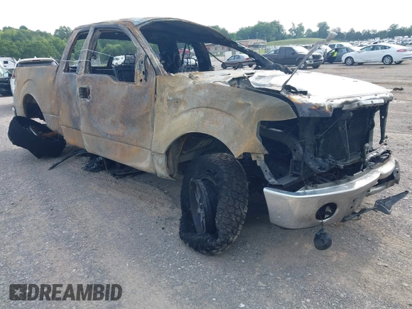 2013 Ford F-150 XL with VIN 1FTFX1EF8DFD25040, listed as a IAAI auction lot 42280468 with Not provided miles and . Bid and sale history available at DreamBid. Image 1.