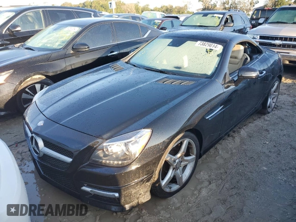 2014 Mercedes-Benz SLK 350 with VIN WDDPK5HA4EF076348, listed as a Copart auction lot 73829014 with Not provided miles and Salvage title. Bid and sale history available at DreamBid. Image 1.