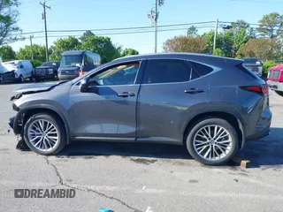 2023 Lexus NX with VIN 2T2GKCEZXPC015134, listed as a IAAI auction lot 41984994 with 19,264 mi miles. Bid and sale history available at carsss.com. Image 14.