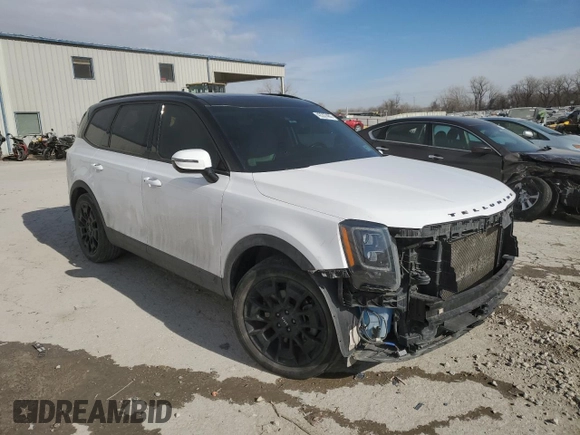 2022 Kia Telluride SX with VIN 5XYP5DHC7NG230867, listed as a Copart auction lot 42207465 with 64,800 mi miles and Salvage Title. Bid and sale history available at carsss.com. Image 4.