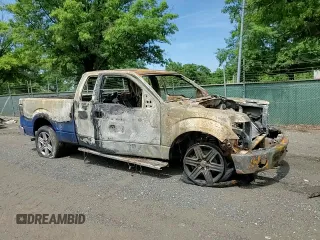 2010 Ford F-150 XL with VIN 1FTEX1EW8AFC27147, listed as a Copart auction lot 63457625 with Not provided miles and Salvage title. Bid and sale history available at DreamBid. Image 12.