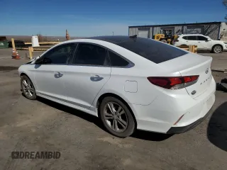 2019 Hyundai Sonata SEL with VIN 5NPE34AF5KH738048, listed as a Copart auction lot 49234445 with 62,075 mi miles and Salvage Title. Bid and sale history available at DreamBid. Image 2.