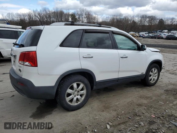 2011 Kia Sorento LX with VIN 5XYKTCA19BG181928, listed as a Copart auction lot 50621165 with Not Provided miles and Salvage Title. Bid and sale history available at DreamBid. Image 3.