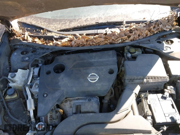 2014 Nissan Altima SL with VIN 1N4AL3AP6EN353254, listed as a IAAI auction lot 41500933 with Not Provided miles and . Bid and sale history available at DreamBid. Image 10.