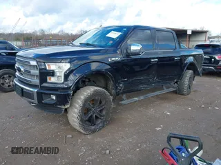 2016 Ford F-150 XLT with VIN 1FTEW1EG4GFA00476, listed as a IAAI auction lot 41218630 with Not provided miles and . Bid and sale history available at DreamBid. Image 16.