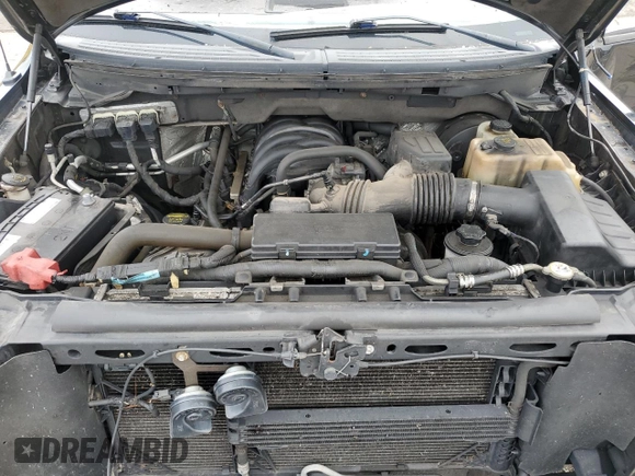2009 Ford F-150 STX with VIN 1FTRX14819KB81135, listed as a Copart auction lot 61414765 with Not provided miles and Salvage title. Bid and sale history available at DreamBid. Image 11.