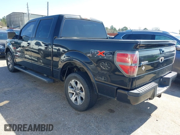 2010 Ford F-150 XL with VIN 1FTEW1C86AKC00706, listed as a IAAI auction lot 41612767 with 202,550 mi miles. Bid and sale history available at carsss.com. Image 3.