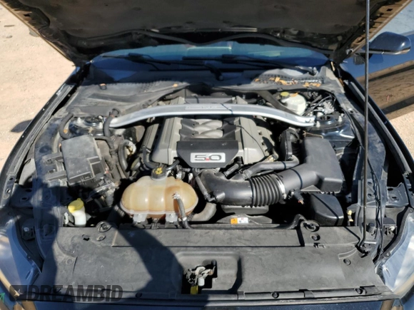 2015 Ford Mustang GT Premium with VIN 1FATP8FF0F5332038, listed as a Copart auction lot 48799725 with 105,866 mi miles and Salvage Title. Bid and sale history available at DreamBid. Image 11.