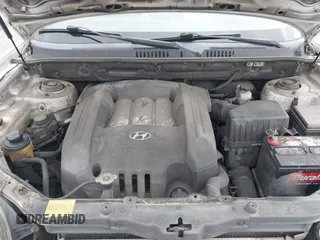 2004 Hyundai Santa Fe GLS with VIN KM8SC13D04U584320, listed as a IAAI auction lot 41847029 with 285,462 mi miles. Bid and sale history available at carsss.com. Image 10.