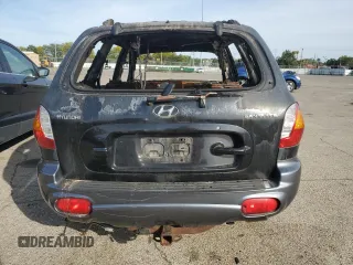 2004 Hyundai Santa Fe with VIN KM8SB12B64U656737, listed as a Copart auction lot 71521294 with 0 mi miles and Non Repairable. Bid and sale history available at carsss.com. Image 6.