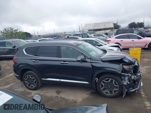 2023 Hyundai Santa Fe Limited with VIN 5NMS5DA19PH013204, listed as a IAAI auction lot 41909727 with 17,206 mi miles and . Bid and sale history available at DreamBid. Image 13.