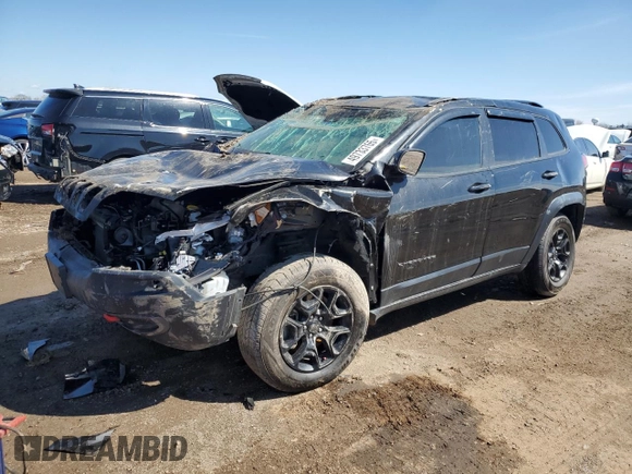2022 Jeep Cherokee Trailhawk with VIN 1C4PJMBX9ND516418, listed as a Copart auction lot 49733765 with 55,624 mi miles and Salvage title. Bid and sale history available at DreamBid. Image 1.