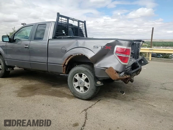 2010 Ford F-150 XL z VIN 1FTEX1E85AKC34713, wystawiony jako Copart lot #55962675 z przebiegiem 203 549 mil mil oraz Szkoda całkowita • Salvage title. Historia ofert i sprzedaży dostępna na DreamBid. Obrazek 13.
