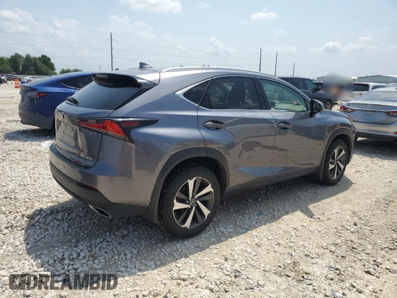 2019 Lexus NX 300 with VIN JTJBARBZ1K2183192, listed as a Copart auction lot 53644305 with 43,832 mi miles and Salvage Title. Bid and sale history available at DreamBid. Image 3.
