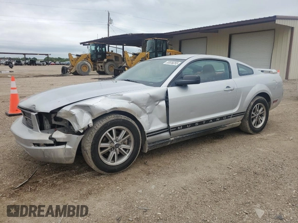 2005 Ford Mustang Deluxe with VIN 1ZVHT80N955249439, listed as a Copart auction lot 55536255 with 118,984 mi miles and Salvage title. Bid and sale history available at DreamBid. Image 1.