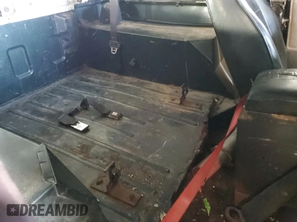 1994 Jeep Wrangler z VIN 1J4FY29S2RP471794, wystawiony jako Copart lot #47488005 z przebiegiem 165 900 mil mil oraz Nie do naprawy • Non repairable. Historia ofert i sprzedaży dostępna na DreamBid. Obrazek 11.